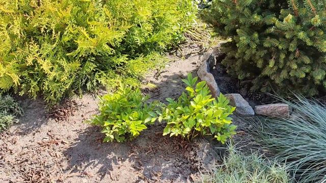 НОВИНКИ 🌺 ЯКІ Я ПРИДБАЛА ЦИМ ЛІТОМ смотреть онлайн