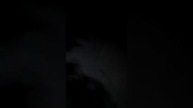 Проверяли пруд. Угар. смотреть онлайн