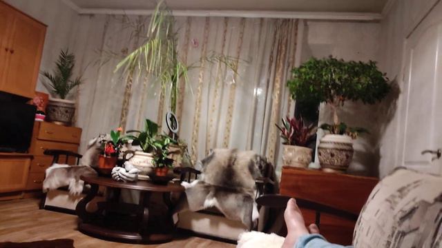 Лучший антистресс) смотреть онлайн