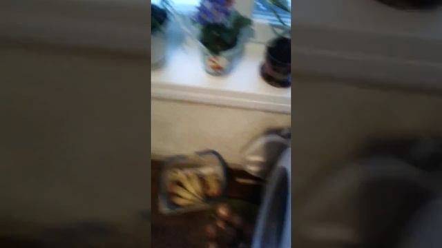 Пластилин playdo в микроволновке на 1 минуту смотреть онлайн