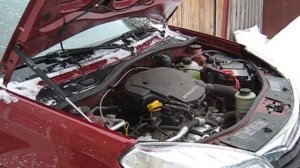 Газовый упор капота на Сандеро