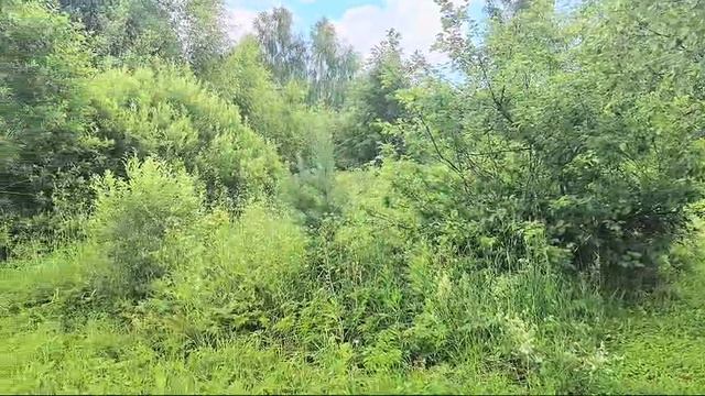 Видео 1179 смотреть онлайн