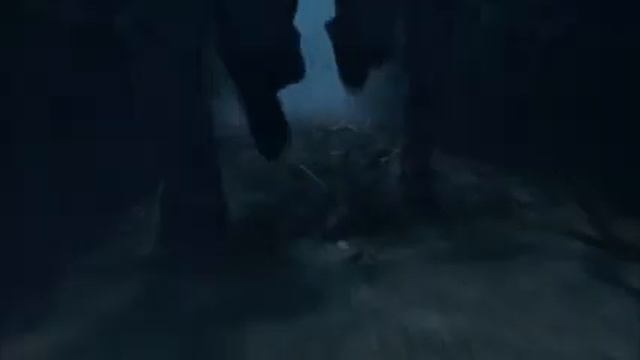 Гарри помогает Седрику избавиться от корней лабиринта Гарри Поттер и Кубок огня смотреть онлайн