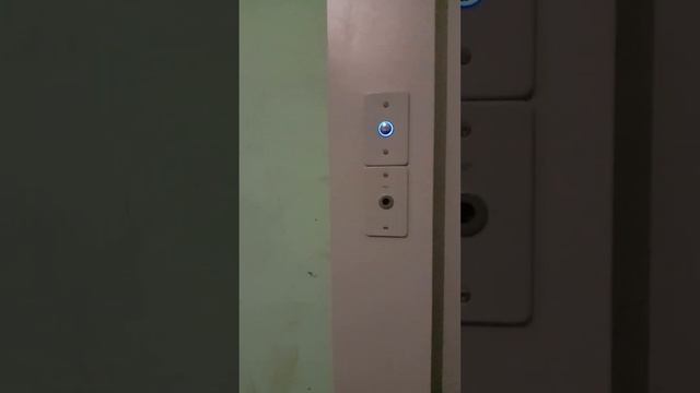 Партизана Германа 14/117 С.петербург. После замены лифтов : Укм, КМЗ , Залипайки. смотреть онлайн