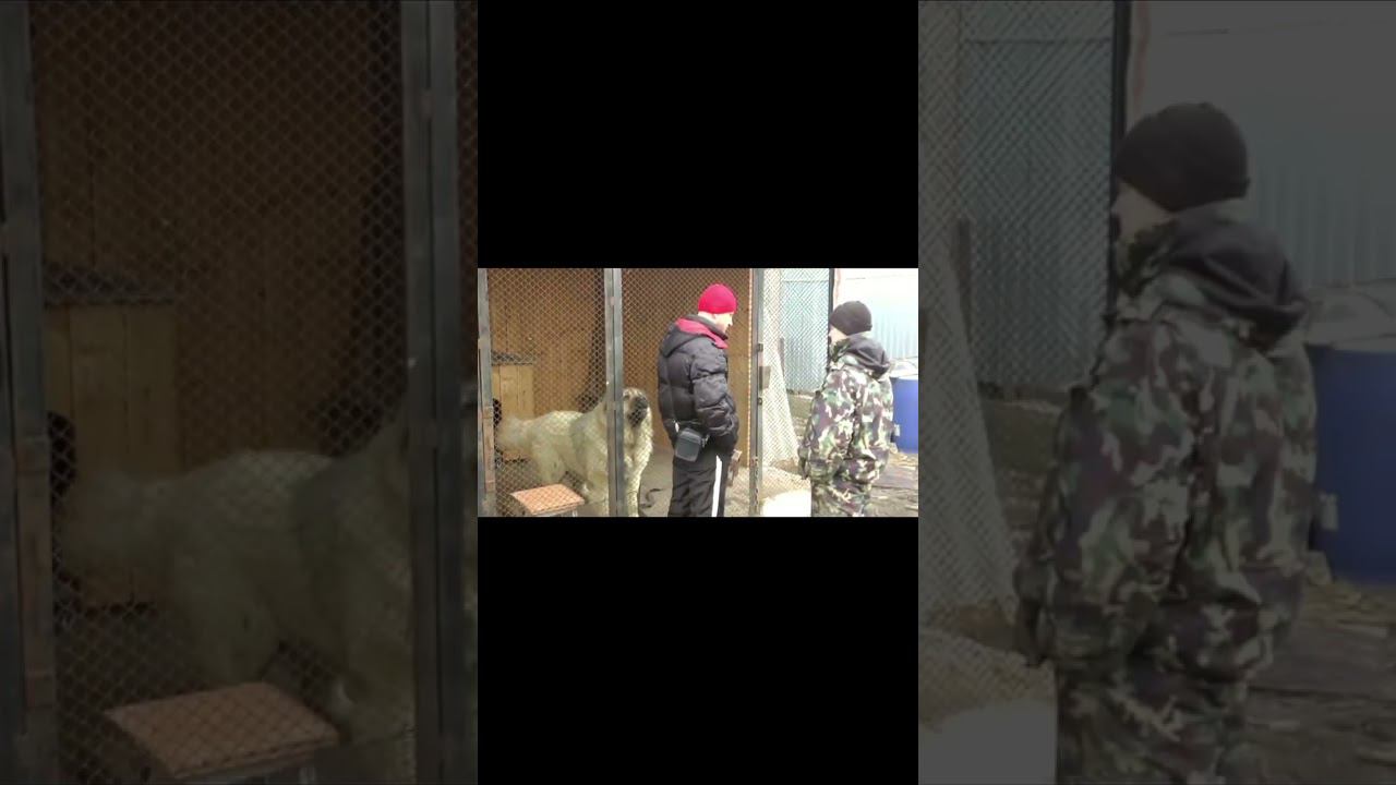 Из моих видео смотреть онлайн