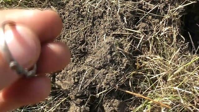 Удачный выезд в покосы, монетный! смотреть онлайн