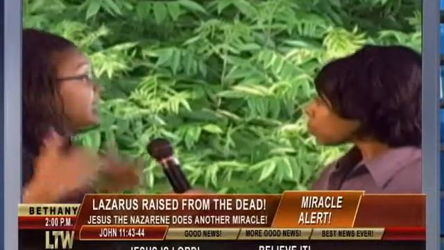 The Lazarus report! смотреть онлайн