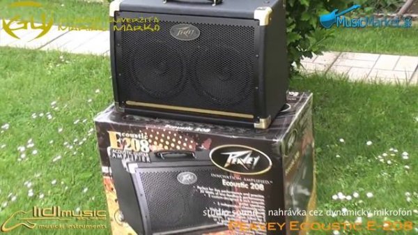 0338 Peavey Ecoustic E208 studio sound