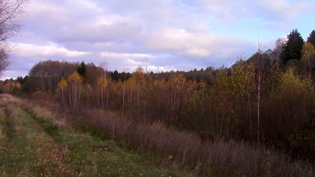 Радость и Умиротворение - Прекрасная осенняя прогулка с художником в деревне возле солнечного участ смотреть онлайн