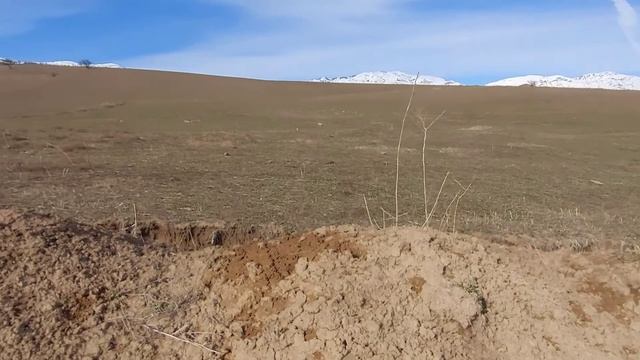 Поход, гора Куруджайлау. Узбекистан,Ташкентская обл. Предгорья Тянь-Шаня. Uzbekistan/Tashkent regio смотреть онлайн