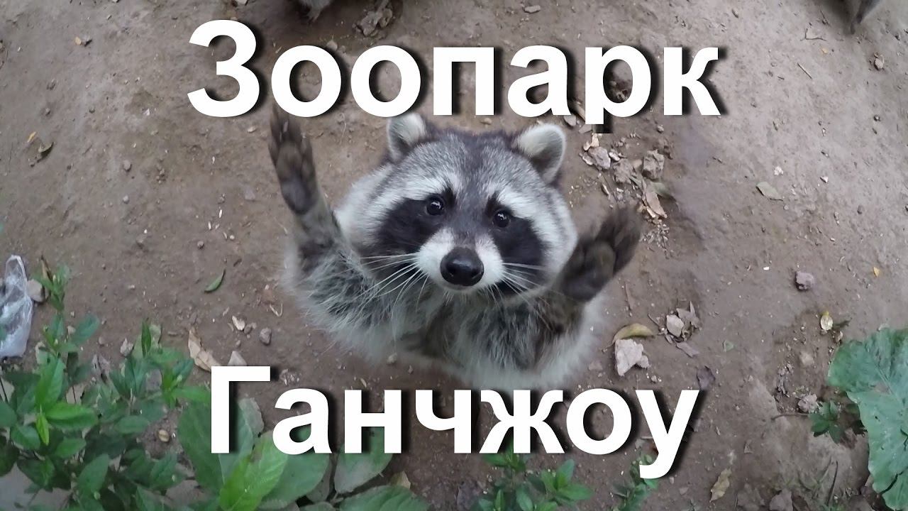 Городской Зоопарк Гуанчжоу, Zoo. Подводная выставка Ocean World Guangzhou.