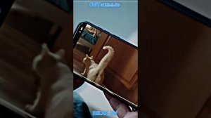 OST«Семья».Посмотреть можно на Premier.❣️