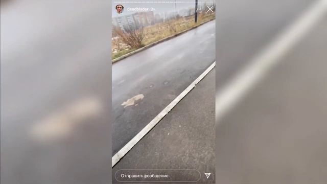 СТОРИСЫ УРАГАНА ХОКАГЕ / ПРО ТАКСИ / ПЬЯНЫЙ смотреть онлайн
