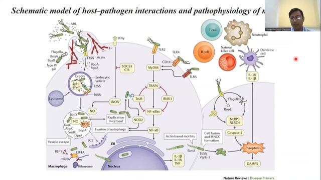 A Vaccine for Melioidosis? смотреть онлайн
