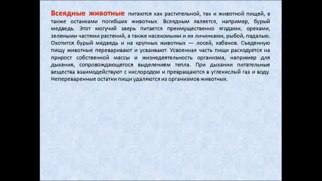 Биология 6 класс питание животных смотреть онлайн