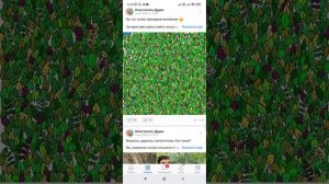 как узнать, на какие сообщества в вк вы подписаны и активные ли они