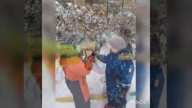 Группа Ромашка. Акция "Покормите птиц зимой" смотреть онлайн