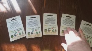 Лучшие подвои для арбузов и дынь