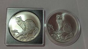 ИНВЕСТИЦИИ В МОНЕТЫ!!! СОБОЛЬ 1995 г обзор монеты