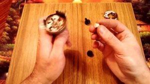 Двигатель с редуктором для инкубатора своими руками