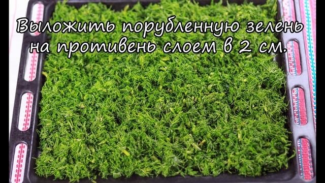 Сушим укроп в духовке! We dry fennel in an oven! ПП рецепты! Домашняя приправа. Как высушить зелень смотреть онлайн