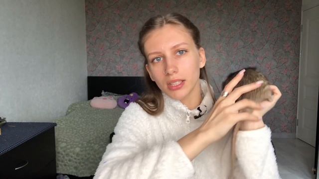 Паразиты у крыс - как лечить? ? смотреть онлайн