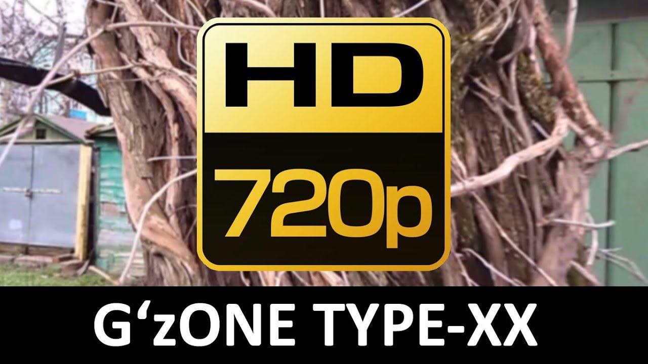 HD video с камеры G'zOne TYPE-XX смотреть онлайн