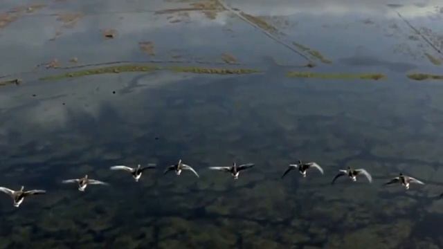 Группа Рождество - Улетают птицы (корректировка звука). смотреть онлайн