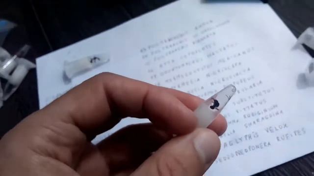 Новые образцы часть 2 (01.05.2021) смотреть онлайн