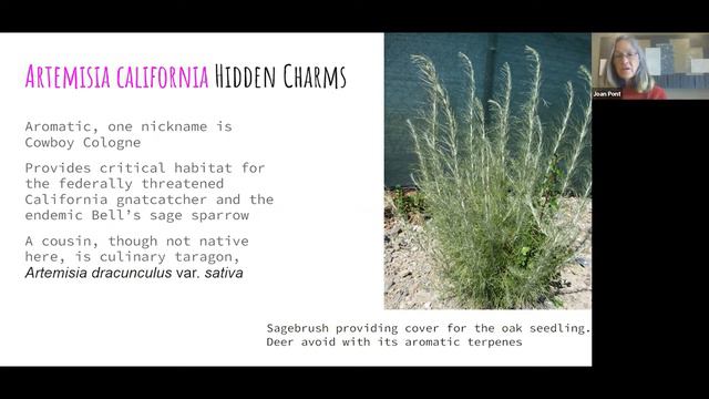 Intro to Gardening with Native Plants смотреть онлайн
