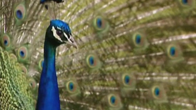 17 серия смотреть онлайн