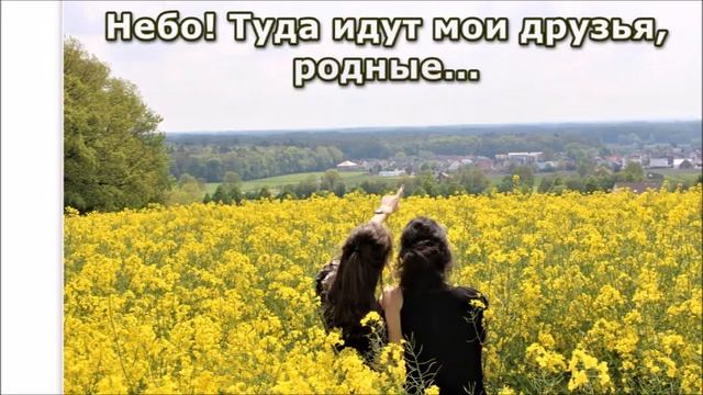 Небо.../ Автор Elena Krieger/ Фото Автора смотреть онлайн