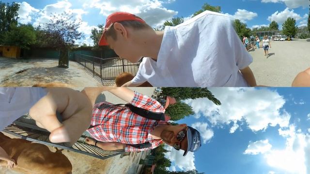 Сафари-парк. Зебу. Часть 2 смотреть онлайн