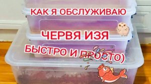 КАК Я ОБЛУЖИВАЮ ТРУБОЧНИК ИЗЯ? БЫСТРО И ПРОСТО)