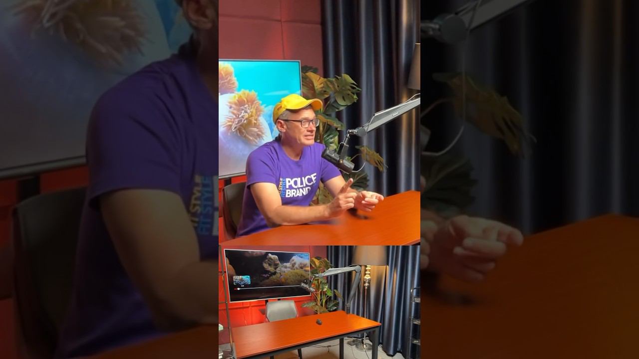 Выходим на новый уровень. Скоро выпуск три опасности острова Ко Лан. смотреть онлайн