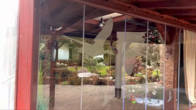 Вкусные рецепты,блюда в Словакии.Деревня где вкусно готовят гуся?Рецепты гуся#рецепты #еда #гусь смотреть онлайн