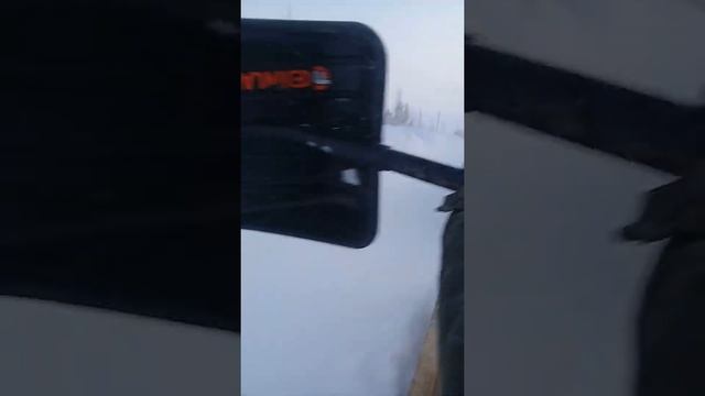 ханты тайга