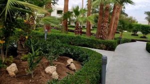 Отель Монте Карло в Шарм - эль - Шейхе/ Приглашаю на прогулку/ Декабрь 2021 /Египет.