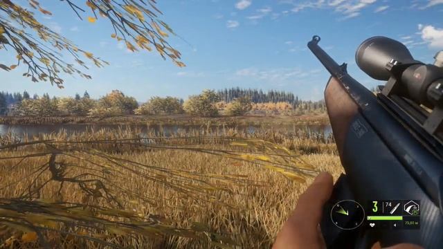 TheHunter Call of the Wild Как я стрелял Лосей и Медведей с винтовки RANGER 243 смотреть онлайн