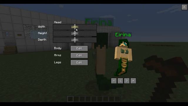 Mod Showcase: Custom NPC Update - More Customization Options! смотреть онлайн