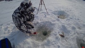 Зимняя рыбалка, ловим камбалу в Тавричанке