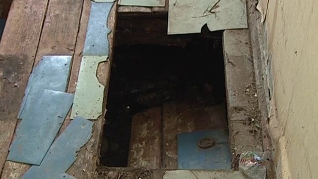 Дом со змеями в Угодичах проверит Следственный комитет смотреть онлайн