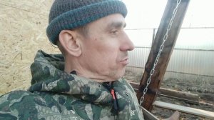 Теплица вдоль забора.