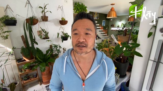 Luz Artificial para Plantas da Sua Urban Jungle | Flay смотреть онлайн