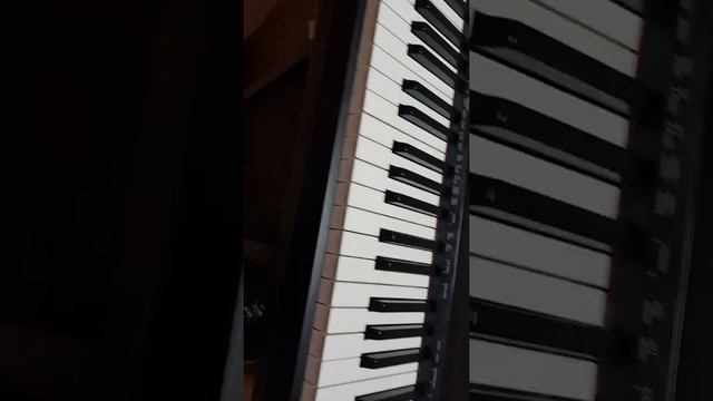 CASIO PX150 дребезжали клавиши. Конечный результат уже после ремонта смотреть онлайн
