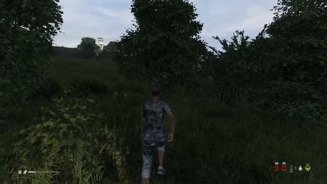 Его остановит только отсутствие патронов в магазине. DayZ смотреть онлайн
