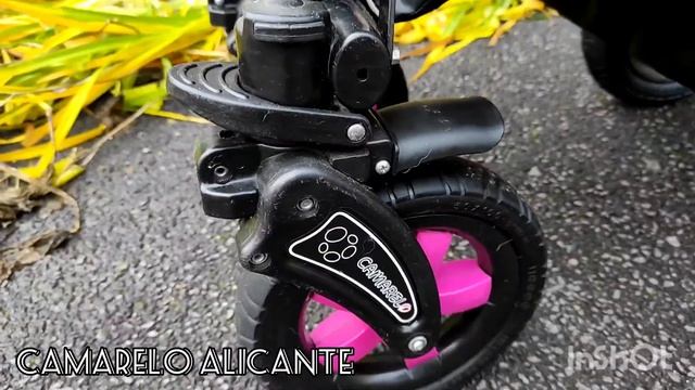 Детская универсальная коляска Camarelo Alicante 2в1