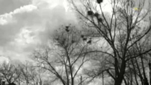 Хор ЦДДЖ - Скворцы прилетели