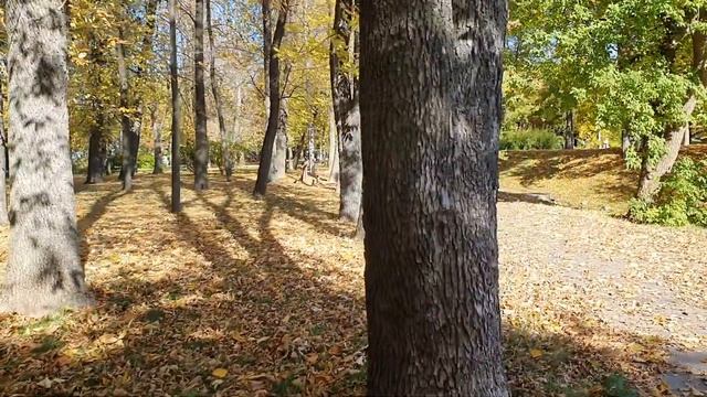 Лена и Ваня LIFE / Как же Лена не любит свою страну! Столько ВРАНЬЯ в одном видео! / Обзор влогов смотреть онлайн