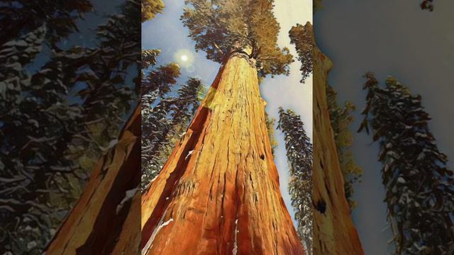 новая МЕЛОДИЯ Дерево